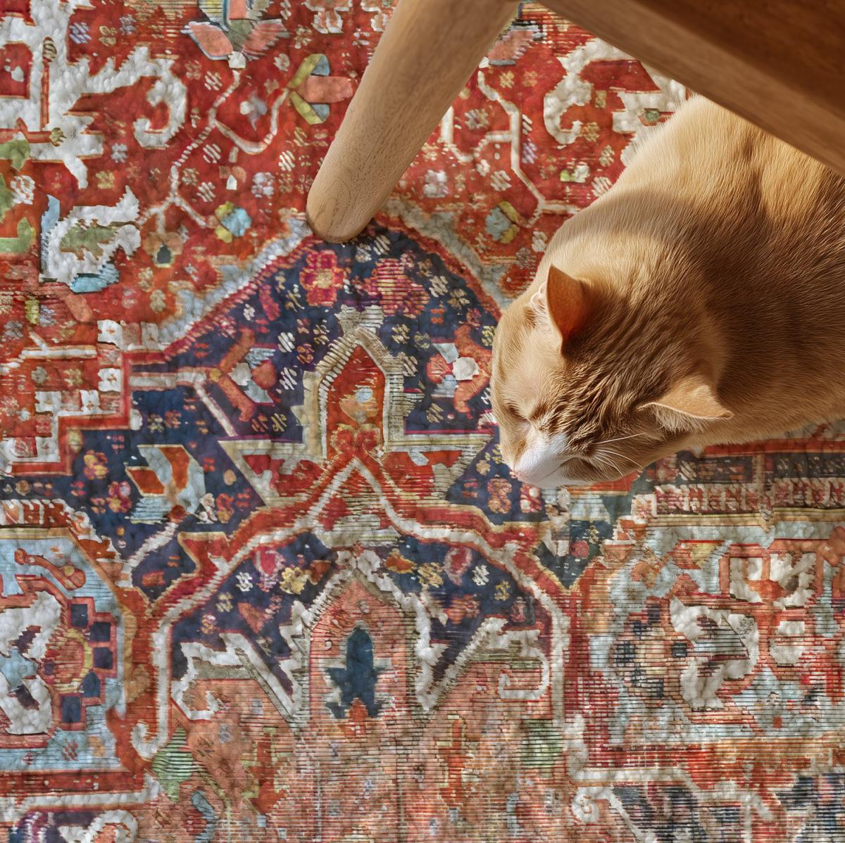 Katten ligger på et håndknyttet Heriz-tæppe.